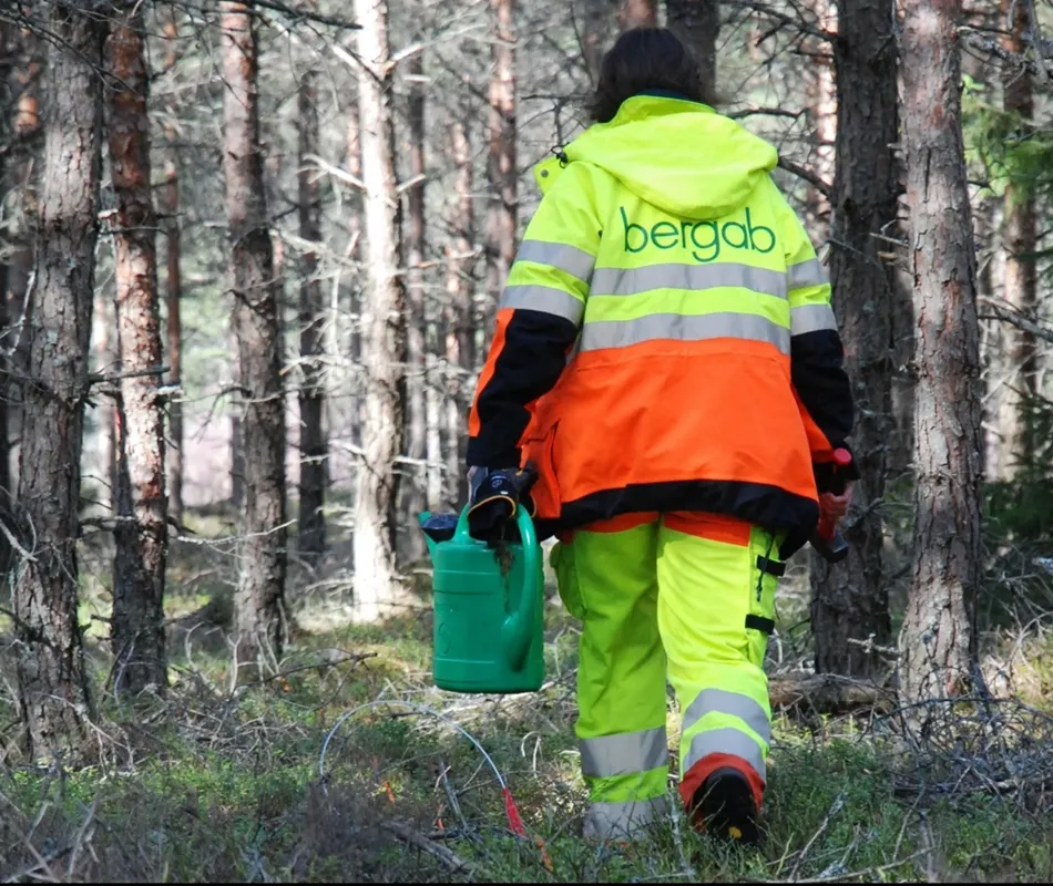 90000_2015_Fältarbete i skogen